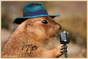 prairie-dog-with-mic-732