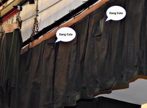 GALLERY-WOShame-July-2023-4